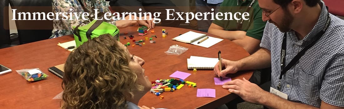 Immersive Learning Experience